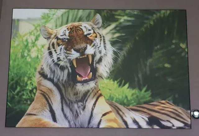 Peinture à effet près de Mezel